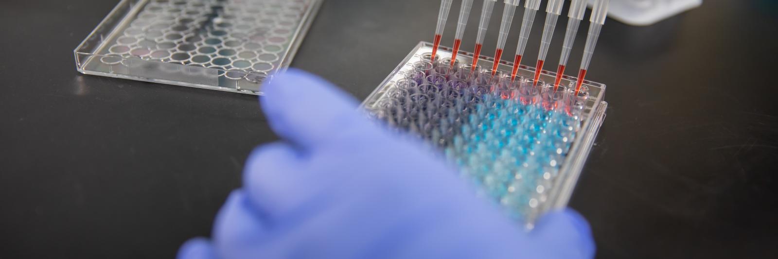 Gloved hand in lab with tray of chemicals 